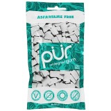 Pur Gum Sugar Free Chewing Gum Wintergreen
