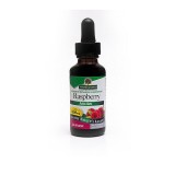 Nature's Answer® Raspberry 1,000mg