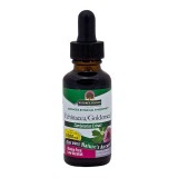 Nature's Answer® Echinacea/Goldenseal