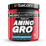 iSatori AMINO-GRO™