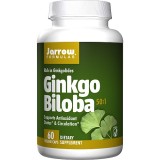 Jarrow Formulas® Ginkgo Biloba