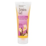 Roberts Research Laboratories Arnica Gel