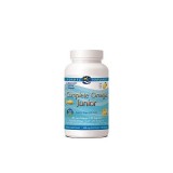 Nordic Naturals, Inc. Omega - 3 6 9 Junior --Great lemon taste!