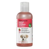 GNC Pets Gentle Puppy Shampoo - Radiant Raspberry Scent