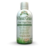 Garden Greens™ Wheat Grass with Real Ginger Extract