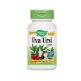 Nature's Way® Uva Ursi