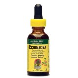 Nature's Answer® Echinacea
