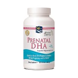 Nordic Naturals® Prenatal DHA