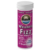 Source Naturals® Wellness Fizz®