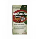 Nature's Answer® Cinnamon 500 mg