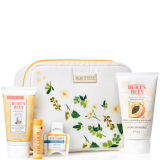 Burt's Bees Burt's Bag of Treats Gift Set