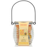 Burt's Bees Wild for Bees Gift Set