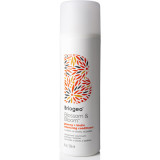 Briogeo Blossom & Bloom Ginseng + Biotin Volumizing Conditioner (236ml)