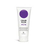 KC Professional Color Mask -  Plum (200ml)