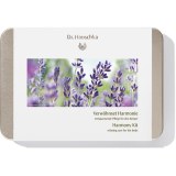 Dr. Hauschka Harmony Kit (6 x 10ml)