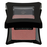 Illamasqua Powder Blusher 4.5g (Various Shades)