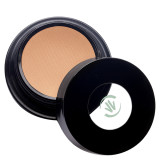 Vincent Longo Water Canvas Highlighter (Various Shades)