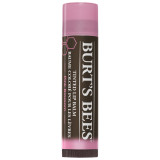 Burt's Bees Tinted Lip Balm - Pink Blossom