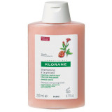 KLORANE Pomegranate Shampoo (200ml)