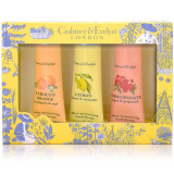 Crabtree & Evelyn Fruits & Botanicals Hand Therapy 3 x 25g