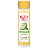 Burt's Bees More Moisture Shampoo - 10 oz