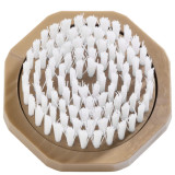 Magnitone London Get Beached Brush Replacement Head