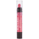 Burt's Bees Gloss Lip Crayon - Pink Lagoon