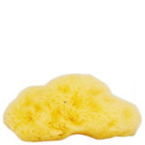 The Natural Sea Sponge Company - Fina Silk Sea Sponge (Approx 3 Inches)