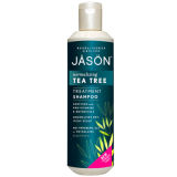 JASON Normalizing Tea Tree Treatment Shampoo (517ml)