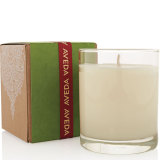 Aveda A Gift of Warmth and Light