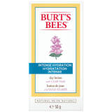 Burt's Bees Intense Hydration Day Lotion 50g