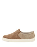 Suede & Canvas Skate Sneaker, Beige