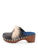Fox-Fur Shearling-Lined Monster Clog, Nero/Cobalto/Palm