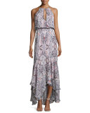 Francesca Sleeveless Printed Maxi Dress, Henna