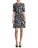 Fil Coupe Half-Sleeve A-Line Dress, Ivory/Black