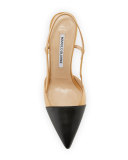 Evocity Two-Tone Pointed-Toe Pump, Black/Beige