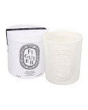 Ceramic Figuier Scented Candle