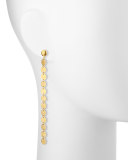 Lush 24k Gold Single Drop Earrings