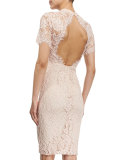 Ardella Short-Sleeve Lace Sheath Dress, Blush