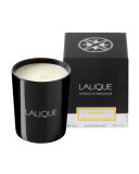 Vanille Acapulco Scented Candle