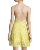 Bellini Sleeveless Lace Dress, Sunshine