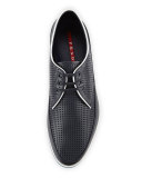 Perforated Leather Derby Shoe, Blue/White