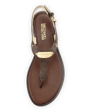 Plate Thong Sandal, Brown