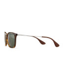 Wayfarer Plastic Sunglasses, Brown