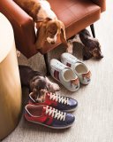 New Ace Hanging Tiger Leather Low-Top Sneaker, White