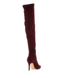 Jemina Suede Over-the-Knee Boot, Oxblood
