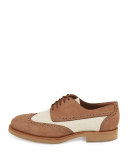 Mixed Media Wing-Tip Shoe, Beige