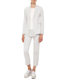 Franca Techno Stretch Ankle Pants, Silver
