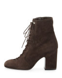 Milly Lace-Up Suede Bootie, Gray