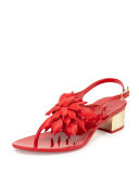 davina flower jelly low-heel thong sandal, red